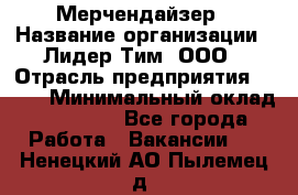 Мерчендайзер › Название организации ­ Лидер Тим, ООО › Отрасль предприятия ­ BTL › Минимальный оклад ­ 17 000 - Все города Работа » Вакансии   . Ненецкий АО,Пылемец д.